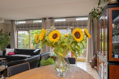 Vrouwenmantel 81  Schoonhoven 030.jpg
